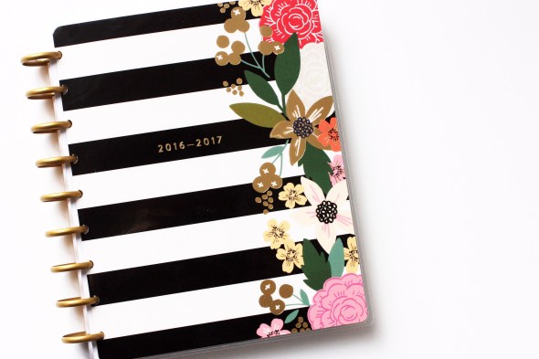 mambiblog1ed_edited-1